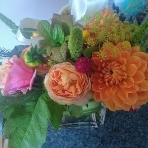 Meet your Posher, Candace